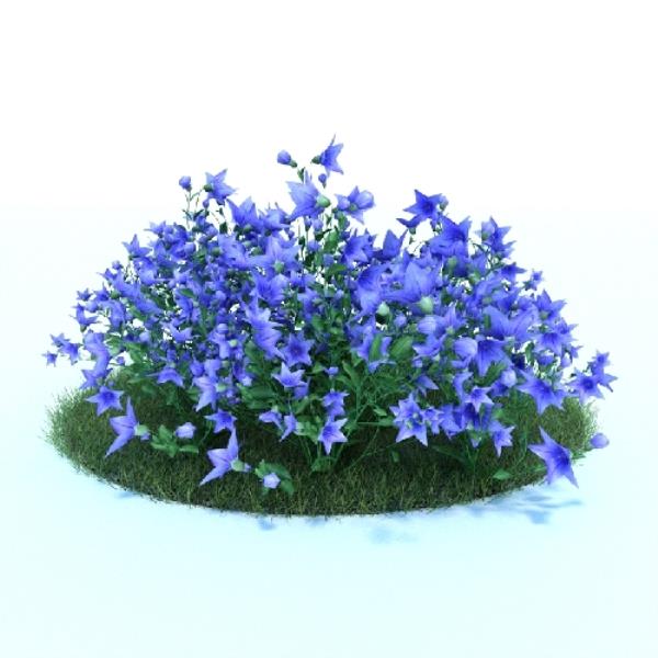 plant 3D Model